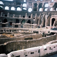 Colosseum, Rome Italy